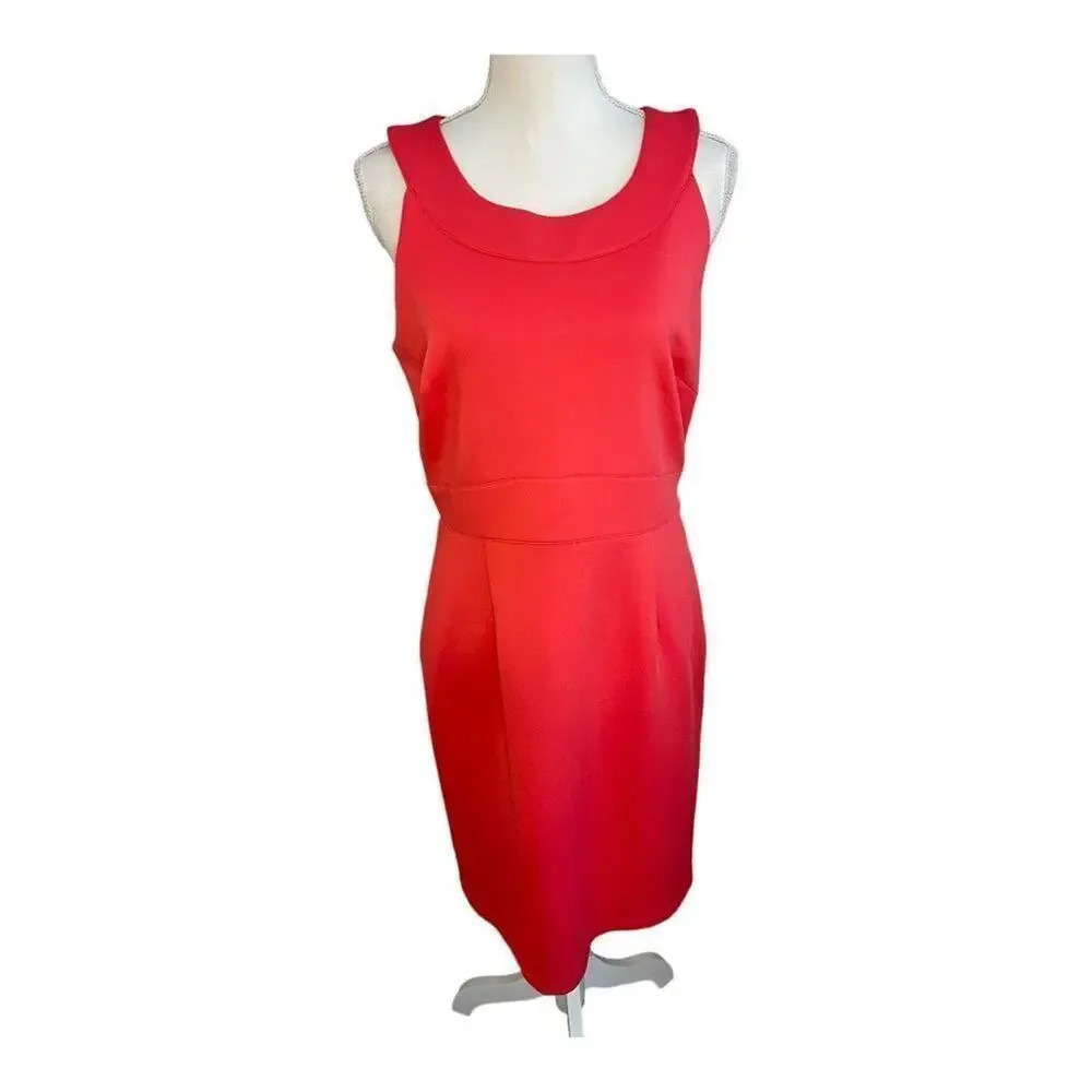 NEW‎ Spense Women’s Size 10 Pinkburst Stretchy Fitted Midi Dress NWT